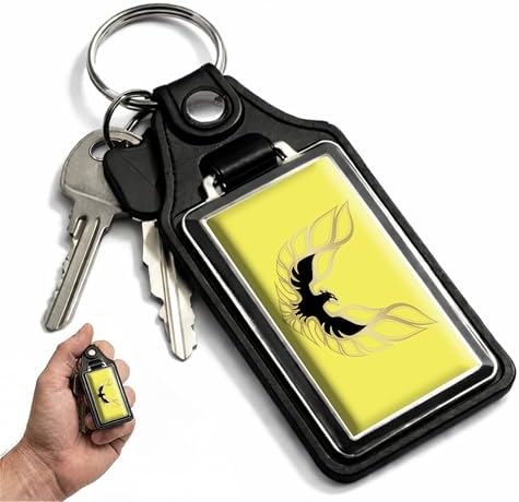 Amazon.com: Brotherhood Car Key Chain for Nova - Classic Models